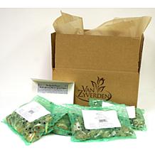 VanZyverden Daffodil Blend 30-piece Bulb Set