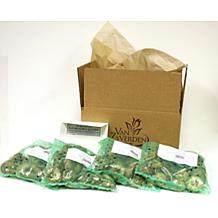 VanZyverden Daffodils Kitchen Sink Mixture 100pc Bulbs