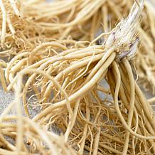 VanZyverden Hosta Lady Guinevere - Set of 3 Roots