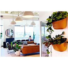 WallyGrow Eco Mountable Wall Planters - 3-pack