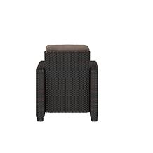 Well Traveled Living Miles Club Chair In Mocha Wicker