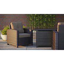 Well Traveled Living Miles Club Chair In Mocha Wicker