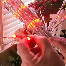 Winter Lane 18" Bendable LED Sparkler with Remote