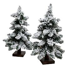 Winter Lane 2-piece 18" Downswept Trees with LED Lights
