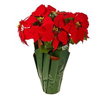 Winter Lane Battery-Operated 18" Poinsettia with Lights and Timer