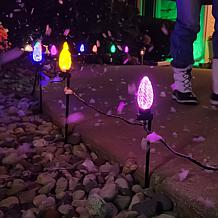 Winter Lane Oversized C9 20-Piece String Lights with Remote