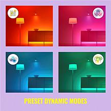 WiZ 2-pack A19 60W LED Full Color Smart Bulbs with Remote