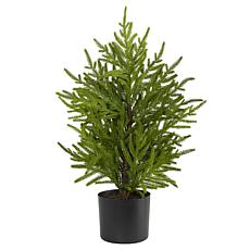 2 ft. Norfolk Island Pine Natural Look Artificial Tree in Decorativ...