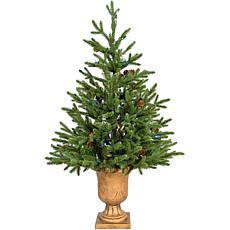 3' Noble Fir Tree Metallic Urn Base Battery-Operated Multi-Colored