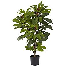32 in. Fig Silk Tree