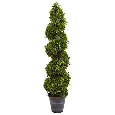 4 Ft. Boxwood Spiral Topiary Tree with Planter 