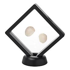 "As Is" Jay King Light-Colored Geode Pair in Floating Black Frame