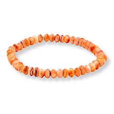 "As Is" Jay King Mexican Lion's Paw Shell Bead Stretch Bracelet