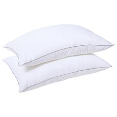 "As Is" South Street Loft 2-Pack Standard Comfort Pillows