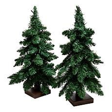"As Is" Winter Lane 2-piece 18" Downswept Trees with LED Lights