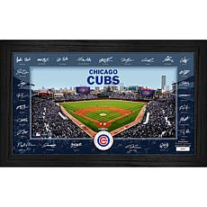 Chicago Cubs Framed 2025 Signature Field Team Roster
