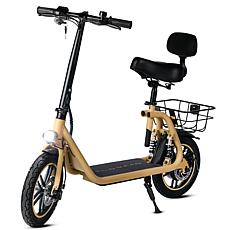 DeLorean 450W 36V Folding Seated E-Scooter w/Backrest & Accessories