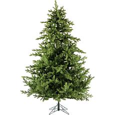 Fraser Hill Farm 12' Foxtail Pine Tree
