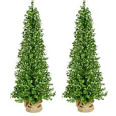 Fraser Hill Farm 3-Ft. Boxwood Porch Tree in Burlap Bag, Set of 2