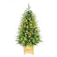 Fraser Hill Farm 4-Ft. Real Feel Cedar Pre-Lit Potted Porch Tree wi...