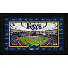 Highland Mint Tampa Bay Rays 2026 Signature Field Frame 