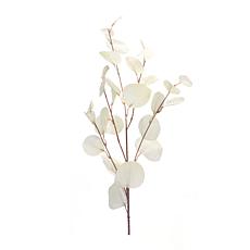 Ivory Silver Dollar Eucalyptus 6-piece Leaf Spray Set
