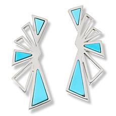 Jay King Gallery Collection Campitos Turquoise Earrings