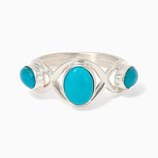 Jay King Kingman Turquoise Sterling Silver Ring
