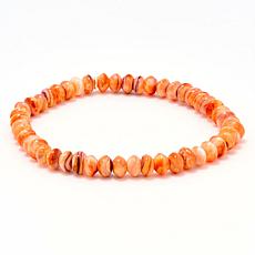 Jay King Mexican Lion's Paw Shell Bead Stretch Bracelet