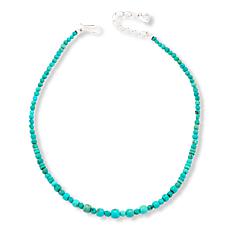 Jay King Sterling Silver Baja Turquoise Bead 18" Necklace