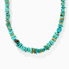 Jay King Sterling Silver Sonoran Turquoise Necklace