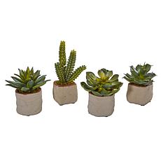 Nearly Natural Mixed Succulent Artificial Plant Set of 4
