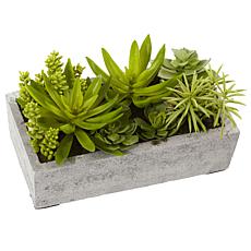 Nearly Natural Silk Succulent Garden with Concrete Planter