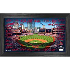 Officially Licensed MLB/MLBPA St. Louis Cardinals 2024 Signature Field