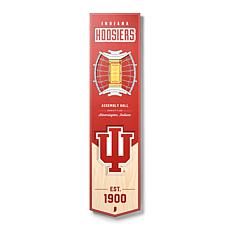 Officially Licensed NCAA Indiana Hoosiers 3D Stadium Banner