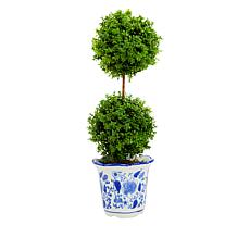 Patricia Altschul 14" Faux Topiary in a Ceramic Pot