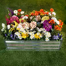 Pure Garden Raised Garden Bed w/ Adjustable Sides - Rectangle