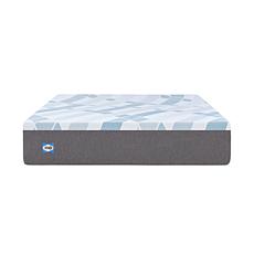 Sealy 12" Medium Feel Hybrid Mattress - Full