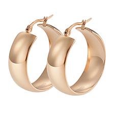 Stately Steel Hinged Hoop Earrings
