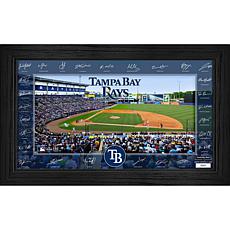 Tampa Bay Rays Framed 2025 Signature Field Team Roster