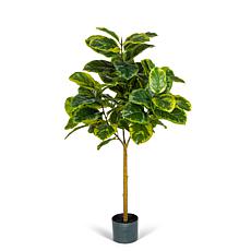 The Gerson Co. Real Touch Realistic Ficus in Plastic Pot w/ Faux Dirt