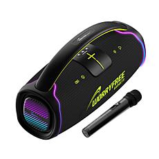 WFG 300w Wireless Bluetooth Speaker w/Handle & Microphone