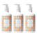 Beekman 1802 Honeyed Grapefruit Goat Milk Hand & Body Wash 3-pack