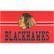 Chicago Blackhawks Embossed Door Mat