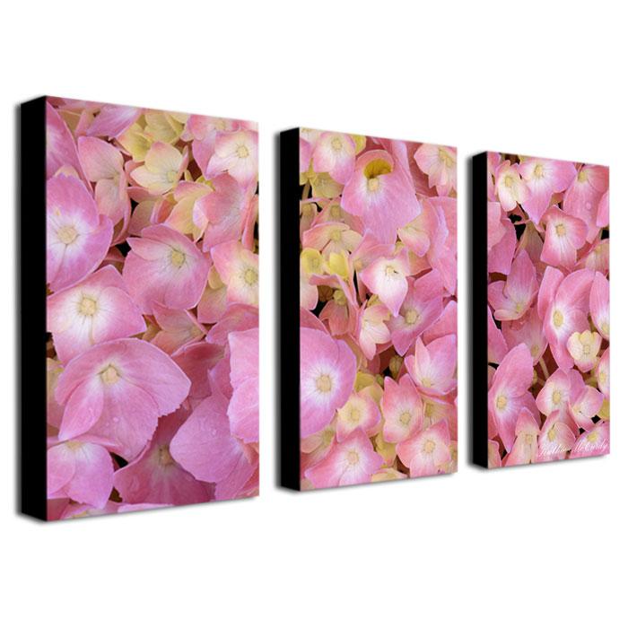 Kathier McCurdy "Pink Hydrangea" Giclée Print Set   7149160