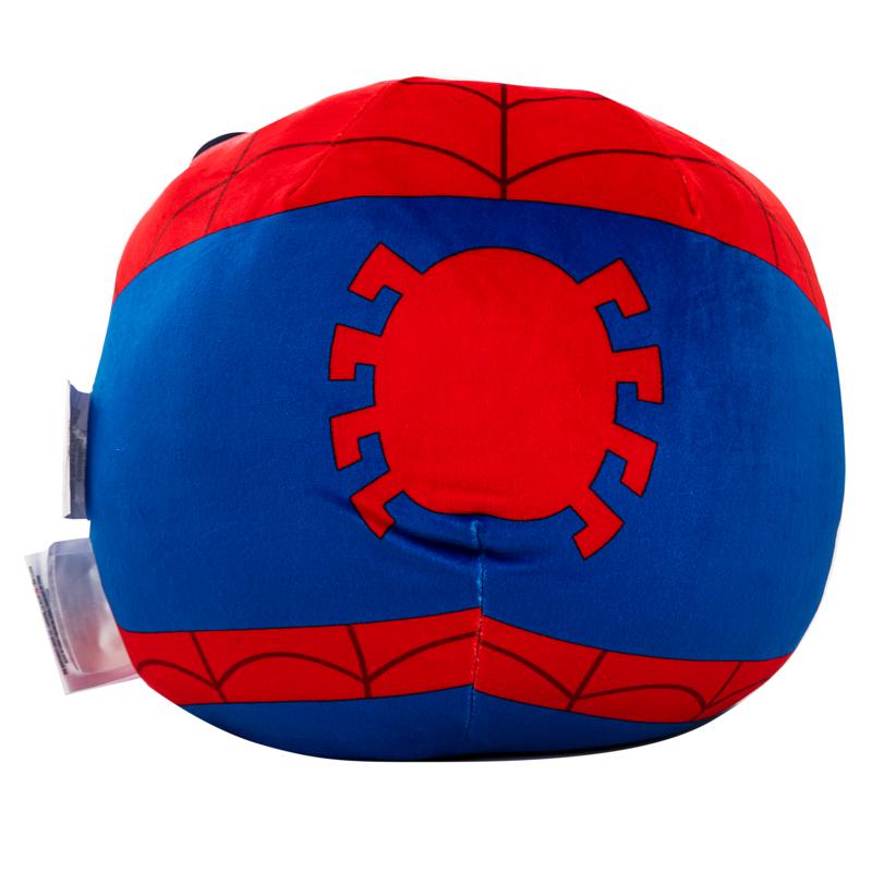 northwest cloud pillow