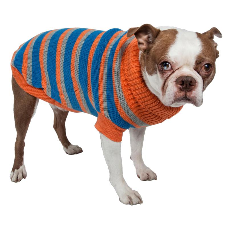 loft dog sweater