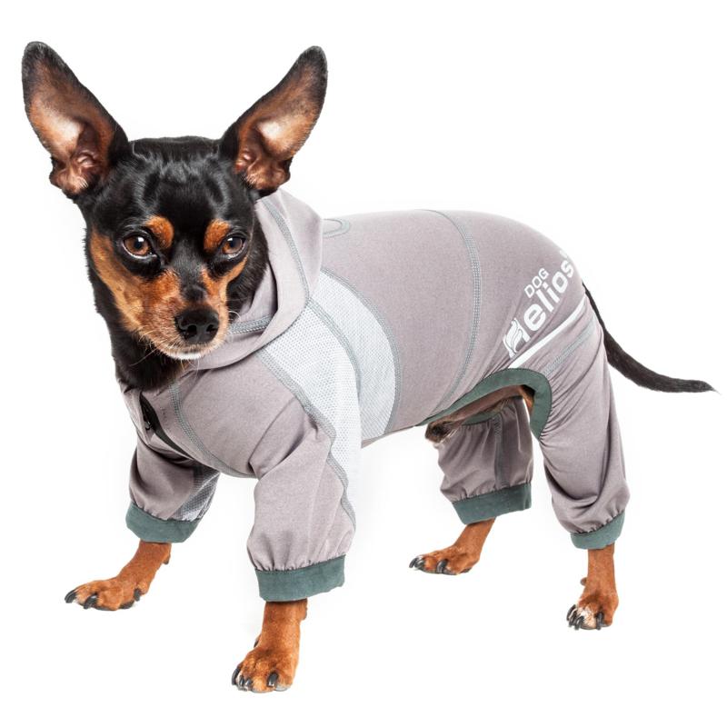 dog sweatsuit