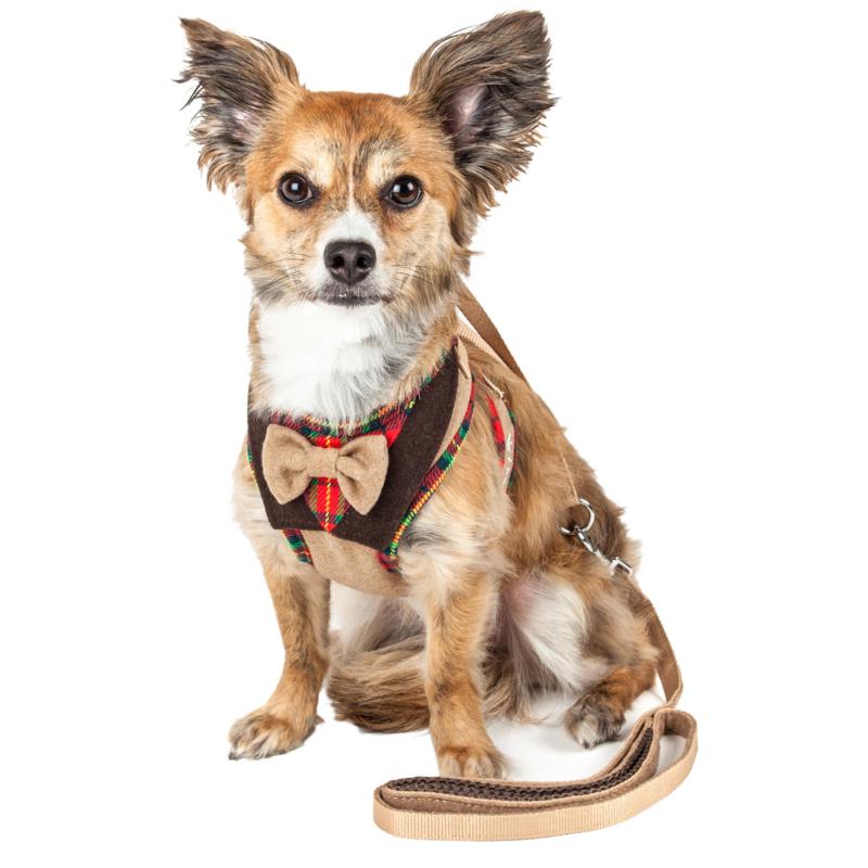 bow tie harness