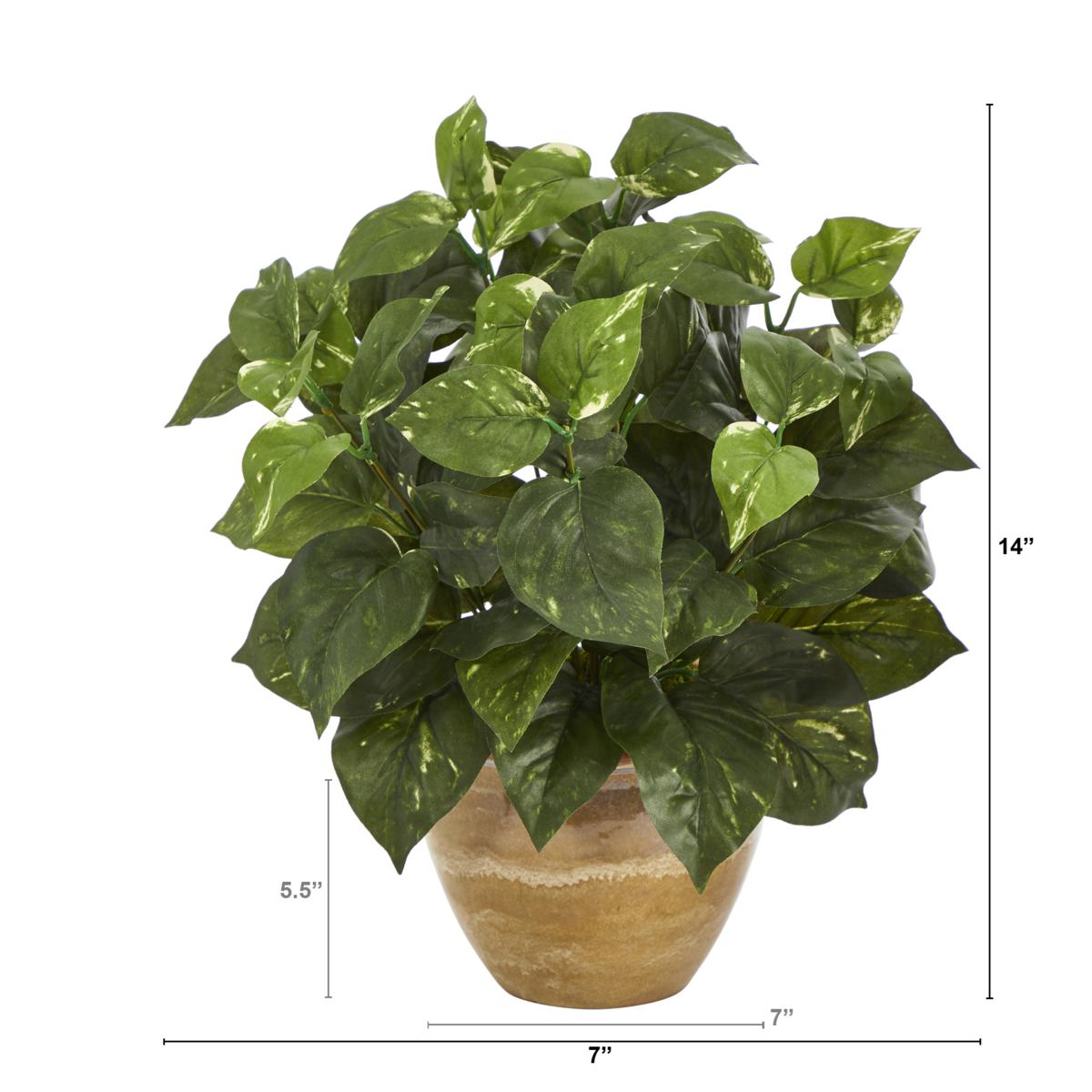 14” Pothos Artificial Plant in Ceramic Planter - 20060751